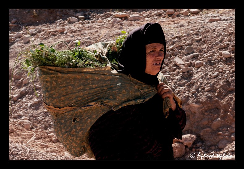 70 Maroc portraits